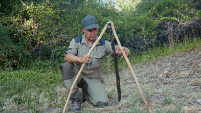 Imagen de Campamento base (T3): Robert Mata - 2