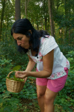 Imagen de Campamento base (T3): Kiki Nardiz - 1
