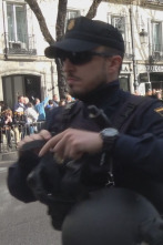 Imagen de 091: Alerta Policía (T8): Ep.1 - 1