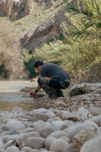 Imagen de Campamento base (T2): Quico Taronji - 1