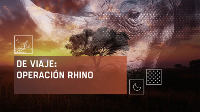 Imagen de De viaje: Operación rhino - 2
