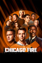 Imagen de Chicago Fire (T10) - 1