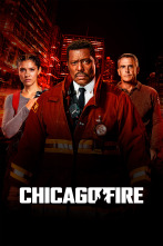 Imagen de Chicago Fire (T12) - 1