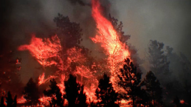 Imagen de Desastre climático: Infierno - 1