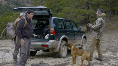 Imagen de Wild hunting (T2): Machos del Maestrazgo - 2