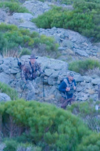 Imagen de Wild hunting (T4): El Gredos de Marc - 1