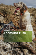 Imagen de Locos por el 20 (T2) - 1