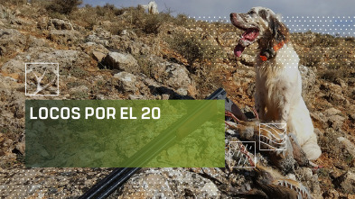 Imagen de Locos por el 20 (T2) - 2
