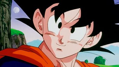 Imagen de Dragon Ball Z Kai (T1) - 3