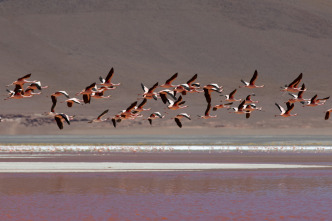 Imagen de The Americas: Los Andes - 5