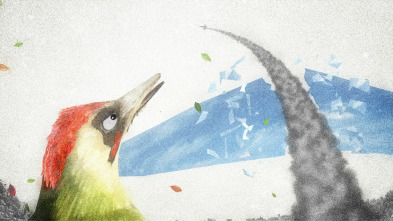 Imagen de Picus - 5