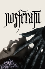 Imagen de Nosferatu - 1