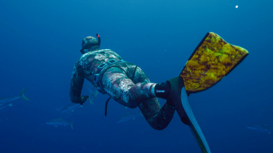 Imagen de Pesca submarina en los...: Ep.1 - 2