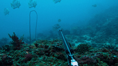 Imagen de Pesca submarina en los...: Ep.4 - 2
