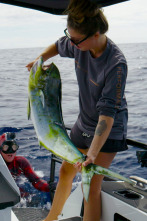 Imagen de Pesca submarina en los...: Boarfish - 1