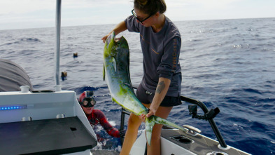 Imagen de Pesca submarina en los...: Boarfish - 2