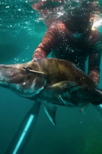 Imagen de Pesca submarina en los...: Far Flung Fiji - 1
