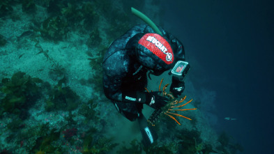 Imagen de Pesca submarina en los...: Ep.5 - 2