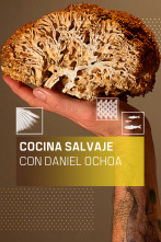 Imagen de Cocina salvaje con Daniel Ochoa (T1) - 1
