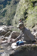 Imagen de Pura mosca (T5): Ep.4 - 1
