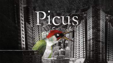 Imagen de Picus - 2