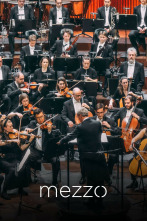 Imagen de Nielsen: Sinfonía n°. 2 - Danish National Symphony Orchestra Fabio Luisi - 1