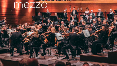 Imagen de Nielsen: Sinfonía n°. 2 - Danish National Symphony Orchestra Fabio Luisi - 2