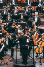 Imagen de Nielsen: Sinfonía n°. 2 - Danish National Symphony Orchestra Fabio Luisi - 3