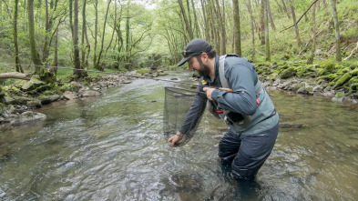 Imagen de Los ríos de Ander: Leitzarán a seca - 4