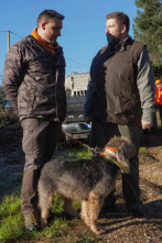 Imagen de De montería (T8): Ep.6 - 1