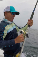 Imagen de Pesca de altura... (T1): La Pesca del atún aleta amarilla - 1