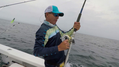 Imagen de Pesca de altura... (T1): La Pesca del atún aleta amarilla - 2