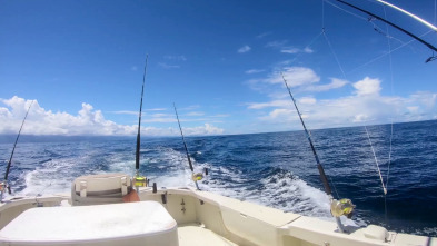 Imagen de Pesca de altura... (T1): La pesca del pez vela o sail fish - 2