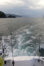 Imagen de Pesca de altura... (T1): La pesca de marlin y pez vela con mosca - 1