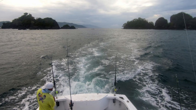 Imagen de Pesca de altura... (T1): La pesca de marlin y pez vela con mosca - 2