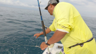 Imagen de Pesca de altura... (T1): Pesca de fondo Down Riger - 2