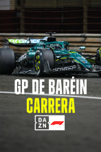 Imagen de Mundial F1 - GP... (2025): Carrera - 1