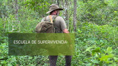 Imagen de Escuela de supervivencia (T1) - 2