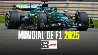Imagen de Mundial F1 - GP de España (2025) - 5