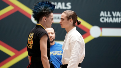 Imagen de Cobra Kai (T1): Ep.10 Piedad - 1