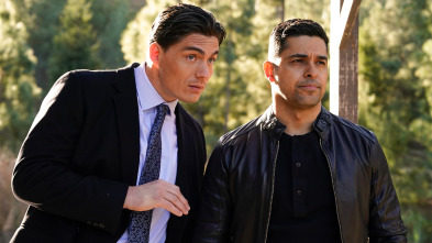 Imagen de Navy:... (T22): Ep.15 Pluriempleado - 2
