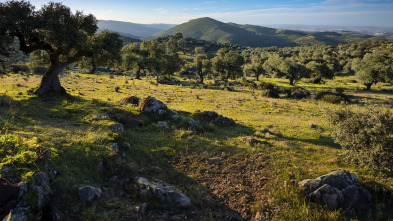 Monteando en el Guadiana portugués