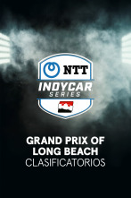 Imagen de Lo mejor de Indycar (2025) - 13