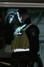 Imagen de Control de... (T3): La carga no tiene gracia - 1