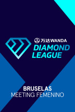 Imagen de Meeting Femenino: Bruselas - 1