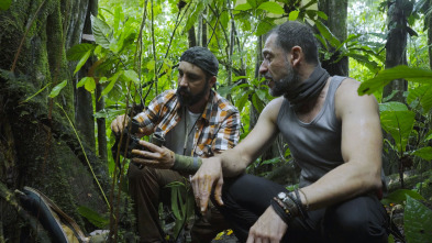 Imagen de Dúo de supervivientes...: Vetas - 2