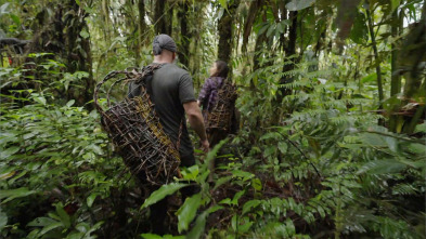 Imagen de Dúo de...: Jungla Ñambí - 2