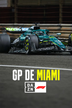 Imagen de Mundial F1 - GP de Miami (2025) - 2