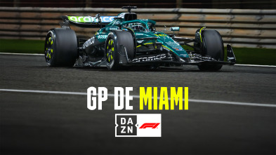 Imagen de Mundial F1 - GP de Miami (2025) - 4