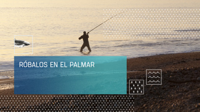 Róbalos en El Palmar
